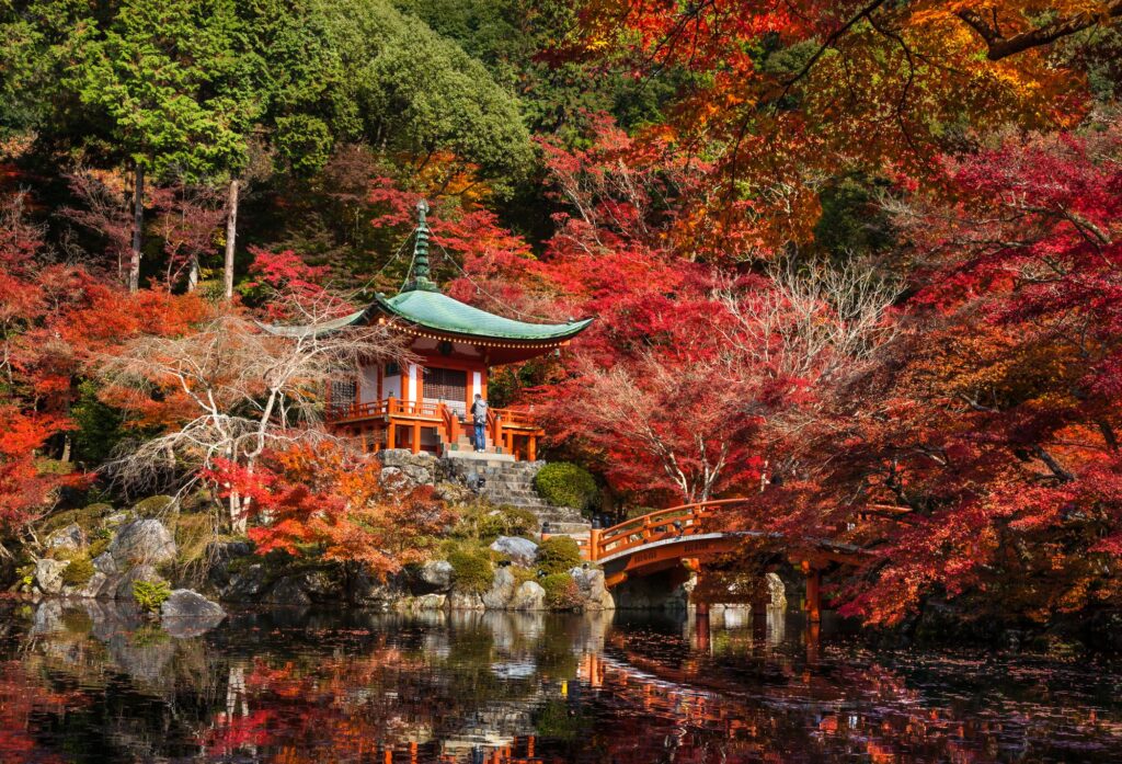 Giappone in Autunno